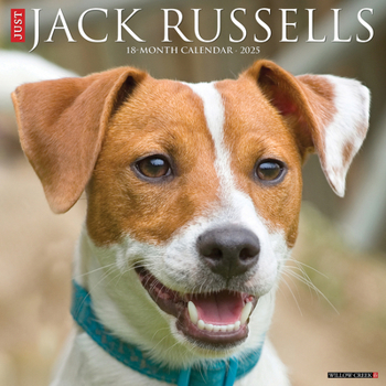 Calendar Just Jack Russells 2025 12 X 12 Wall Calendar Book