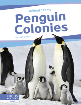 Library Binding Penguin Colonies Book