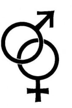 Paperback Stories Once Written II Book