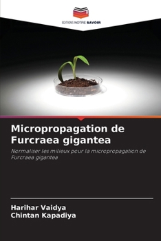 Paperback Micropropagation de Furcraea gigantea [French] Book