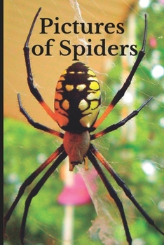 Paperback Pictures of Spiders: Funny White Elephant, Secret Dirty Santa Gift, (Stupid Gifts Ideas) Book