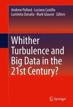 Hardcover Whither Turbulence and Big Data in the 21st Century? Book