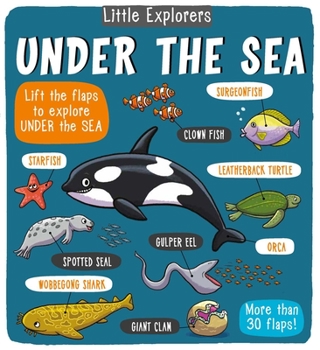 Hardcover Little Explorers: Under the Sea Book