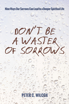 Paperback Don't Be a Waster of Sorrows Book