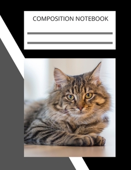 Composition Notebook, Notebooks are important: 110 Ruled Pages (8.5 x 11 in): College Ruled Blank Lined Cute Notebooks for Girls Teens Kids School Writing Notes Journal (8.5 x 11 in)