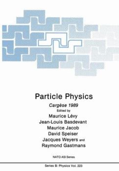 Paperback Particle Physics: Cargèse 1989 Book