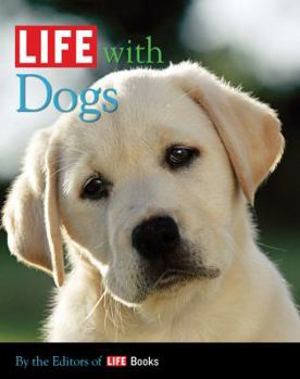 Hardcover Life with Dogs Book