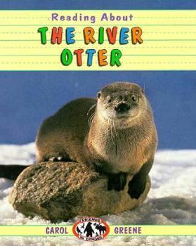 Library Binding Reading about the River Otter Book