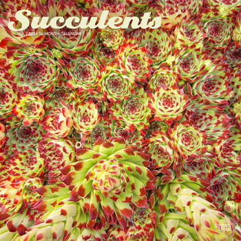 Calendar Succulents 2024 Square Book