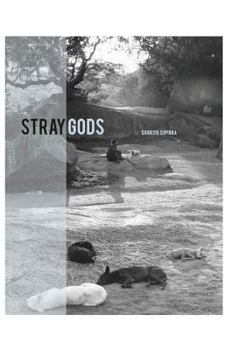 Paperback Stray Gods Book