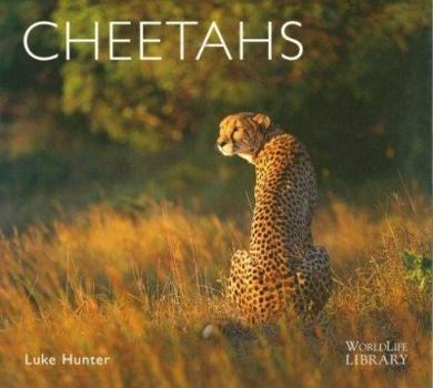 Paperback Cheetahs Book