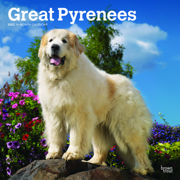 Calendar Great Pyrenees 2023 Square Book