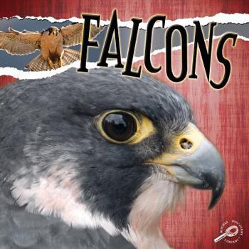 Paperback Falcons (Raptors (Discovery)) Book
