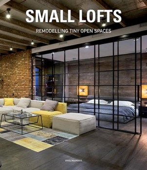 Hardcover Small Lofts: Remodeling Tiny Open Spaces Book