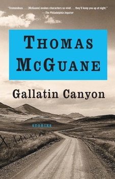 Paperback Gallatin Canyon: Stories Book