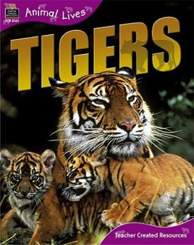 Paperback Animal Lives: Tigers Book