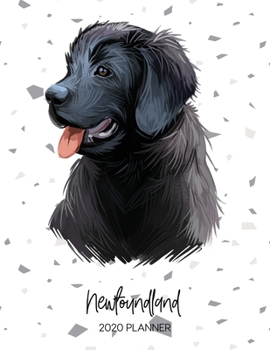 Paperback Newfoundland 2020 Planner: Dated Weekly Diary With To Do Notes & Dog Quotes Book