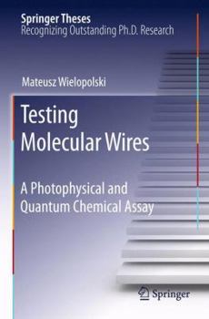 Paperback Testing Molecular Wires: A Photophysical and Quantum Chemical Assay Book