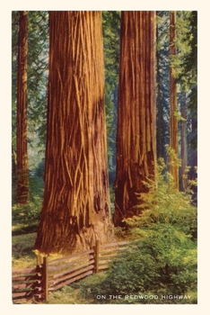 Paperback The Vintage Journal Giant Redwoods Book