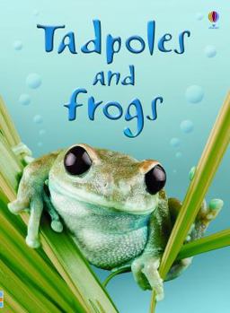 Hardcover Tadpoles and Frogs Book