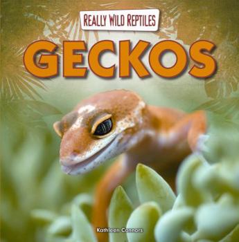 Library Binding Geckos Book