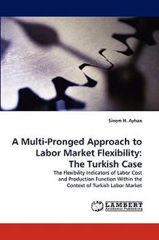 Paperback A Multi-Pronged Approach to Labor Market Flexibility: The Turkish Case Book