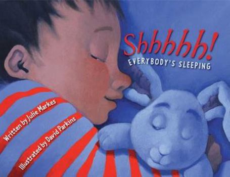 Hardcover Shhhhh! Everybody's Sleeping Book