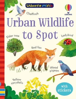 Urban Wildlife to Spot (Usborne Minis) - Book  of the Usborne Minis