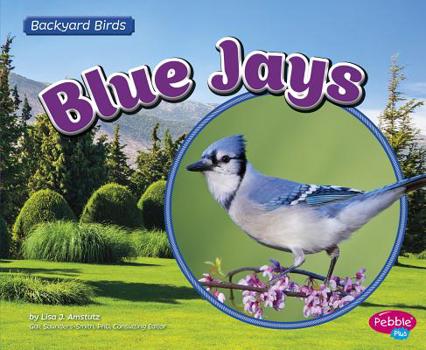 Blue Jays - Book  of the Backyard Birds