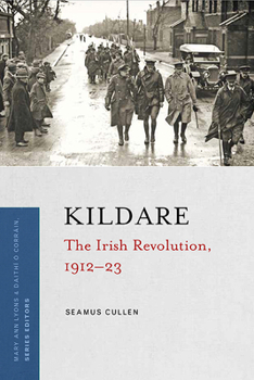 Paperback Kildare: The Irish Revolution, 1912-23 Book