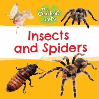Paperback Insects and Spiders Book