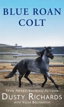 Blue Roan Colt