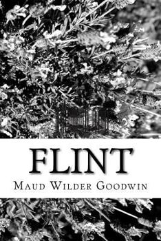 Paperback Flint Book