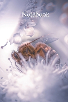 Paperback Notebook: Notebook Bee - Fun gift for someone's birthday, perfect present for a friend or a family member. Blank Lined Journal, Book