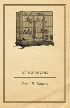 Paperback Budgerigars Book