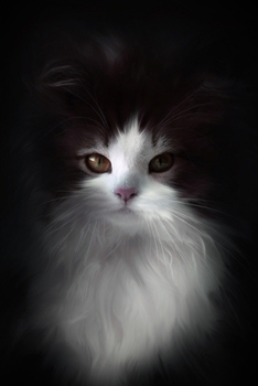 My Black Journal Cat Pocket-Sized