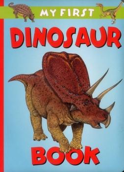 Board book My First Dinosaur Book