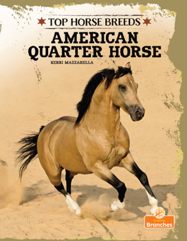 Paperback American Quarter Horse Book