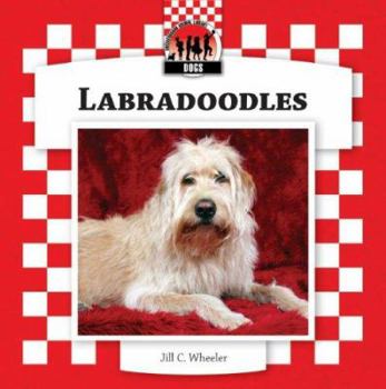 Library Binding Labradoodles Book