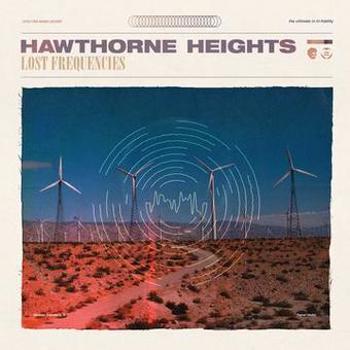 Vinyl Lost frequencies Book