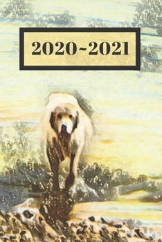 Paperback White Sheepdog Great Pyrenees Dated Calendar Planner 2 years To-Do Lists, Tasks, Notes Appointments: Cute Dog Small Pocket/Purse Size at-A-Glance Sche Book