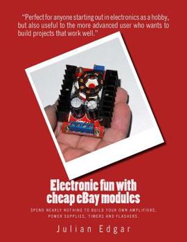 Paperback Electronic fun with cheap eBay modules: Spend nearly nothing to build your own amplifiers, power supplies, timers and flashers. Book