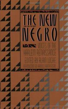 Paperback The New Negro Book