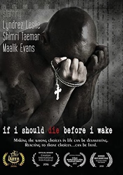 DVD If I Should Die Before I Wake Book