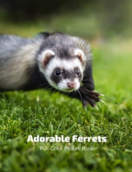 Adorable Ferrets Full-Color Picture Book: Mammals Photography Book- Nature Animals