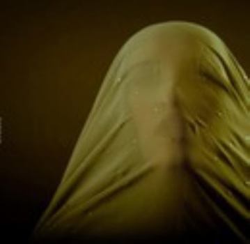 Hardcover Shroud Book