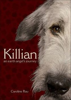 Paperback Killian: An Earth Angel's Journey Book