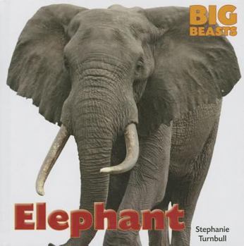 Elephant - Book  of the Big Beasts