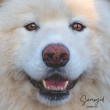 Paperback Samoyed Calendar 2021: Wall Calendar 12 Month, Dog Breed Calendar 2021 Book
