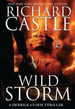 Wild Storm - Book #2 of the Derrick Storm